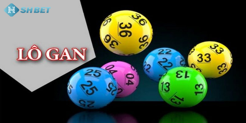 Banner www.bulongdot.com