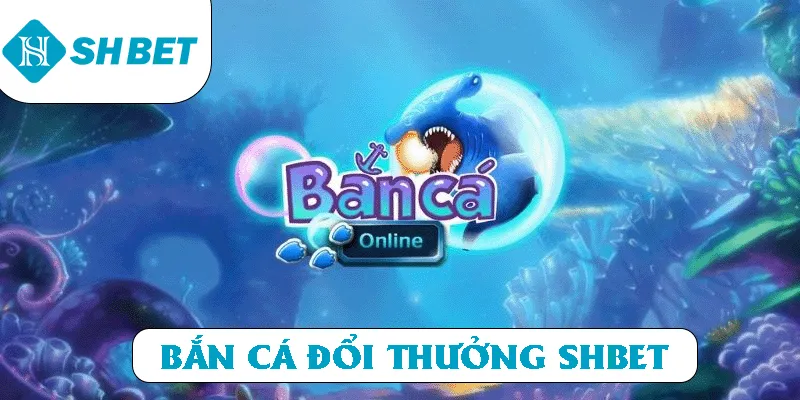 Banner www.bulongdot.com