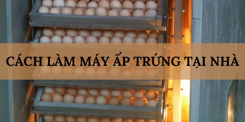 Banner www.bulongdot.com