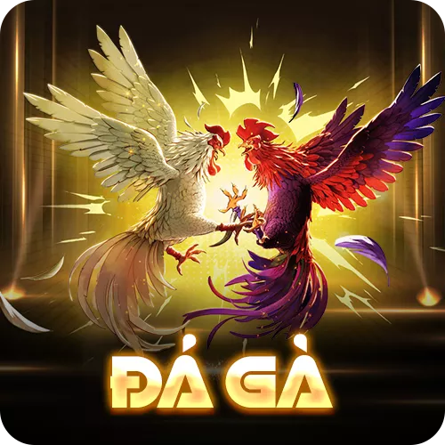 Banner www.bulongdot.com