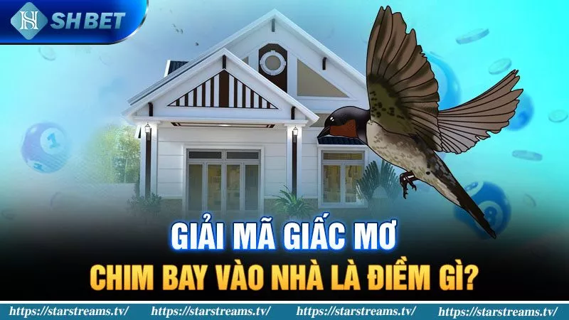 Banner www.bulongdot.com