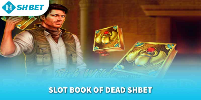 Banner www.bulongdot.com